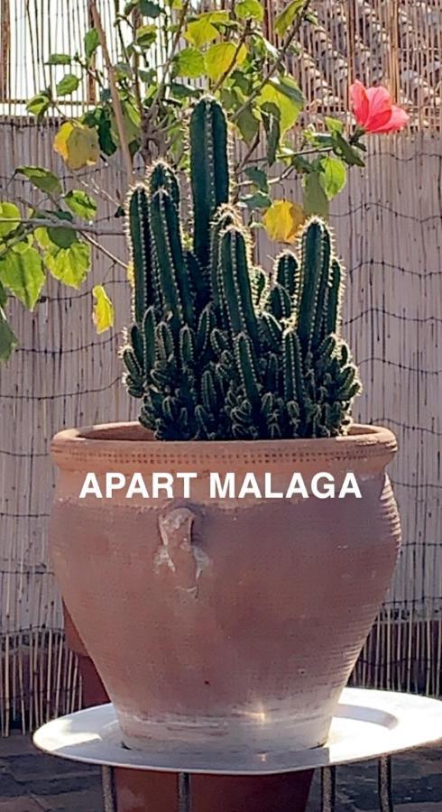 Appartement Plein Coeur Centre Historique De Malaga Luaran gambar